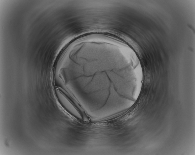 X0000097770958200804041149