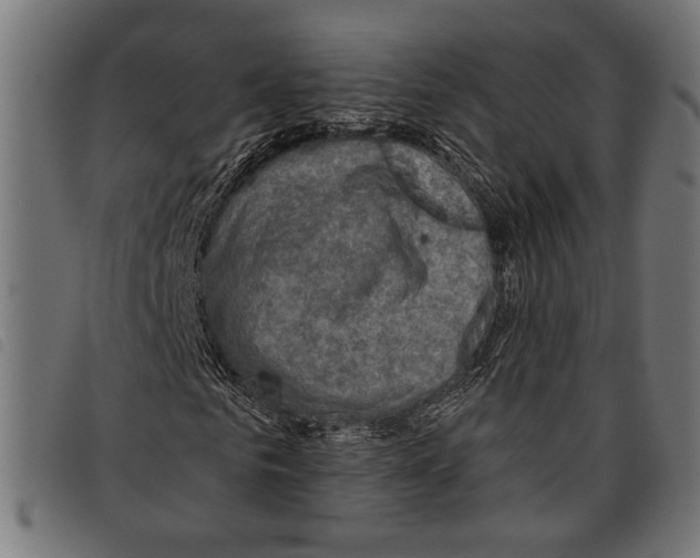X0000097770961200804041149