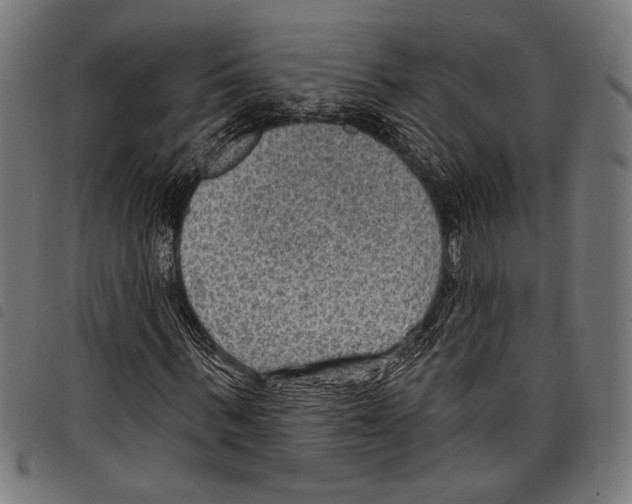X0000097770963200804041149