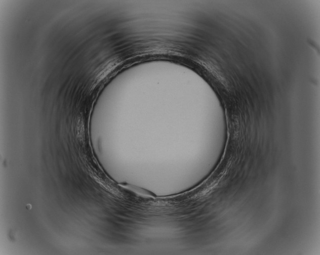 X0000097770969200804041149