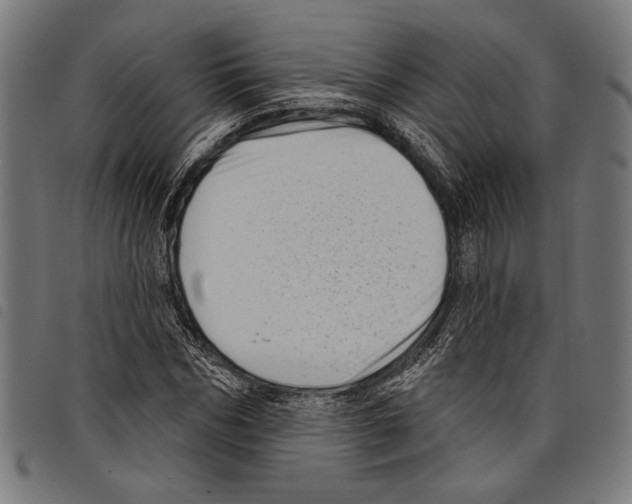 X0000097770970200804041149