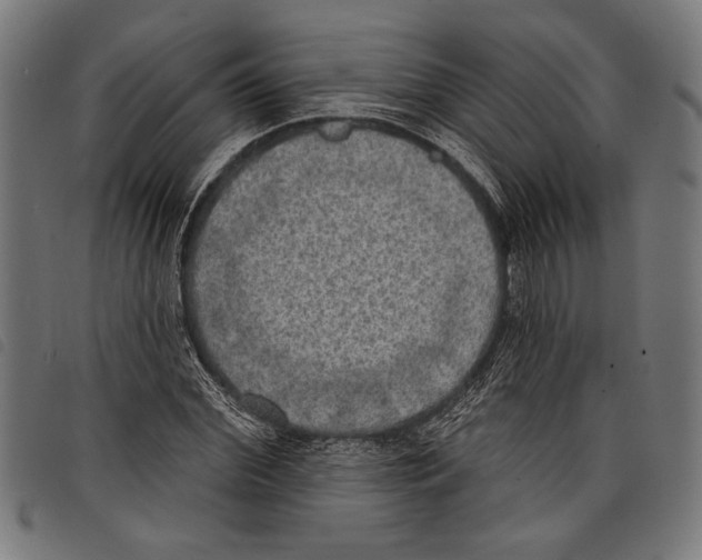 X0000097770972200804041149