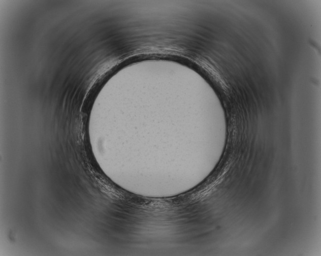 X0000097770974200804041148