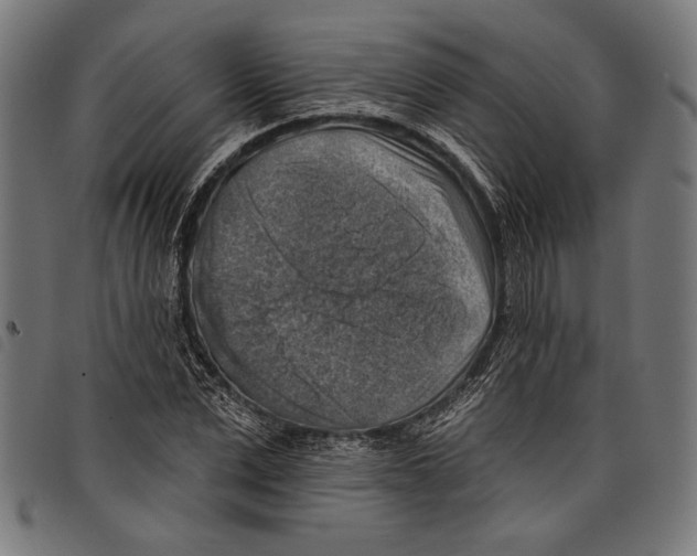 X0000097770975200804041148