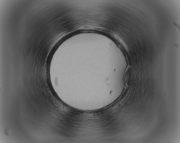 X0000097770976200804041148