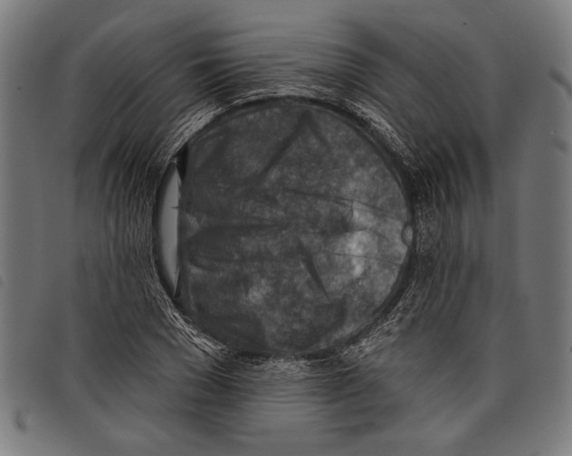 X0000097770977200804041148