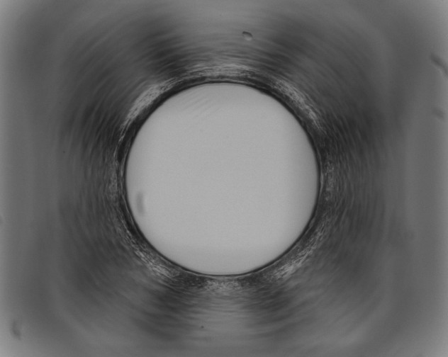 X0000097770978200804041148