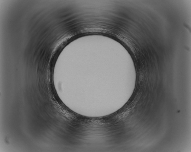 X0000097770979200804041148