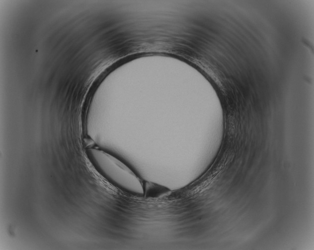 X0000097770980200804041148