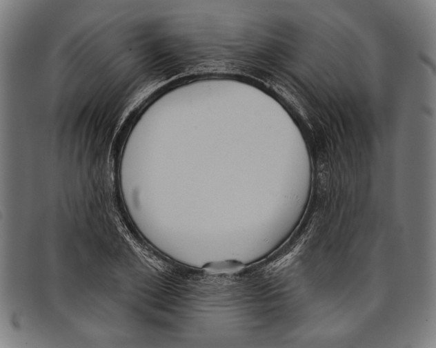 X0000097770981200804041148