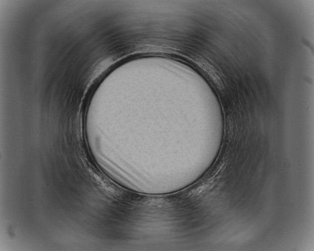 X0000097770982200804041148