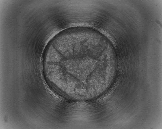 X0000097770983200804041148