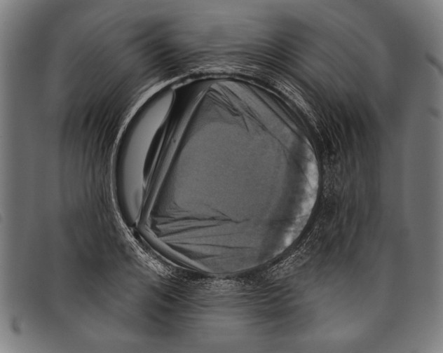 X0000097770984200804041148