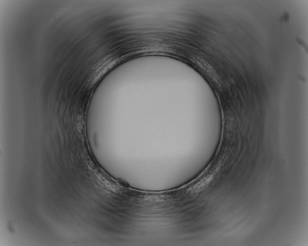 X0000097770985200804041148