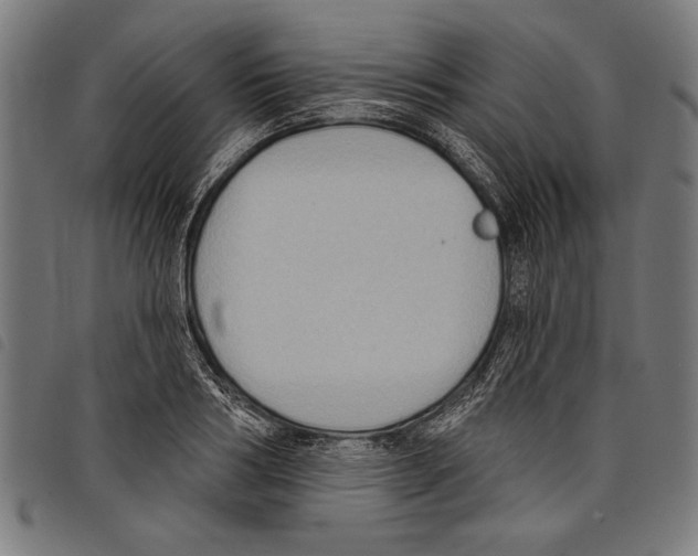 X0000097770986200804041148