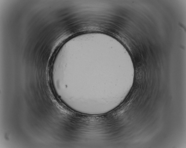 X0000097770987200804041148