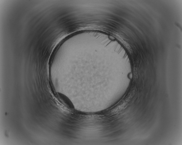 X0000097770988200804041148
