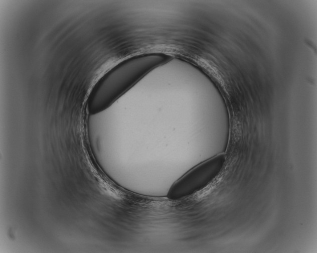 X0000097770989200804041148