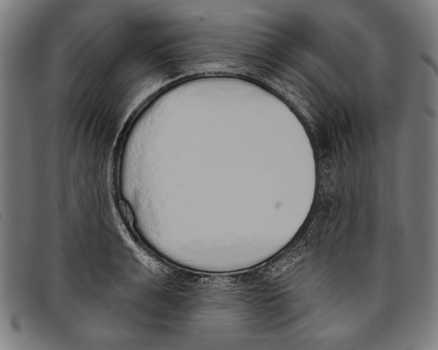 X0000097770991200804041148