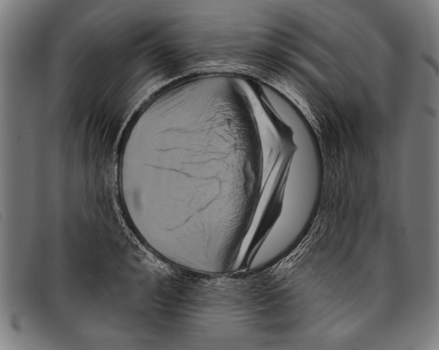 X0000097770992200804041148
