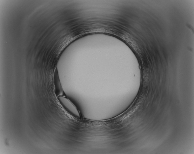X0000097770993200804041148