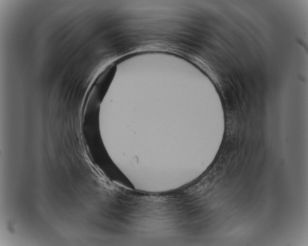 X0000097770996200804041148
