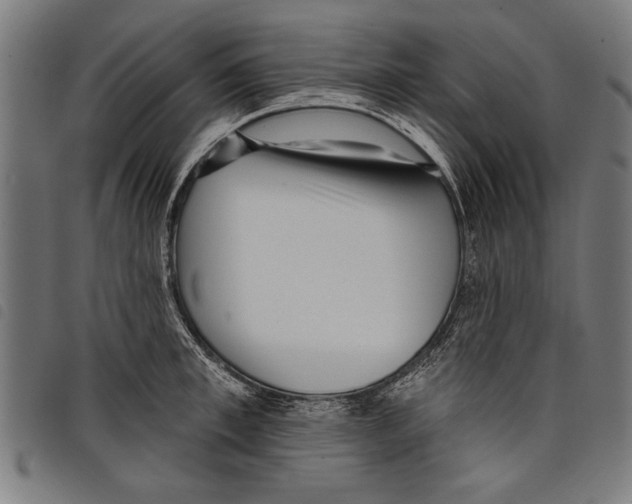 X0000097770997200804041148
