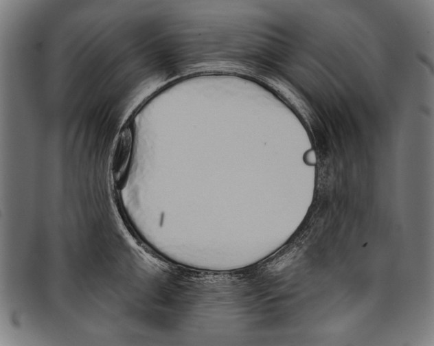 X0000097770999200804041148