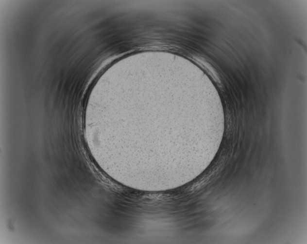 X0000097771000200804041148