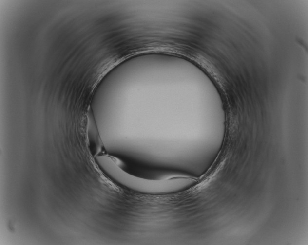 X0000097771001200804041148
