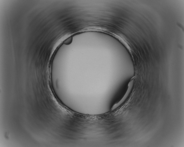 X0000097771003200804041148