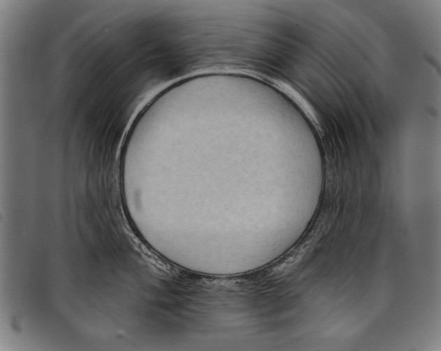 X0000097771004200804041148