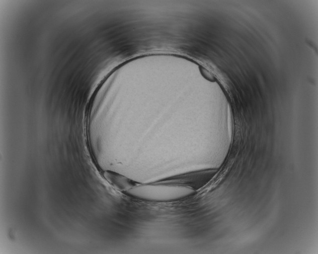 X0000097771006200804041148