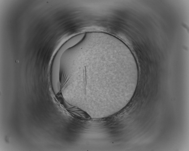 X0000097771008200804041148