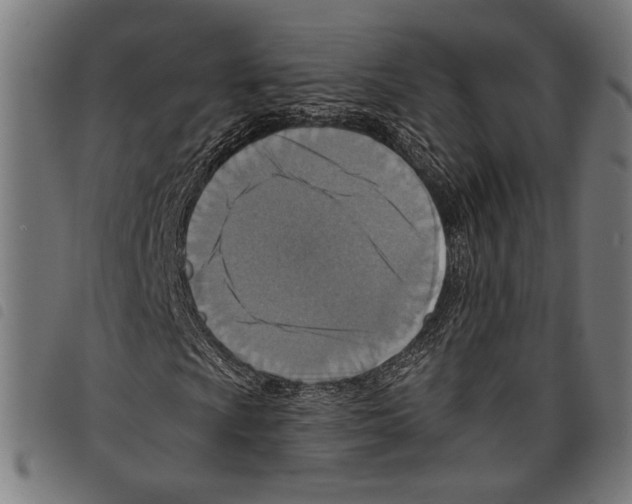 X0000097771009200804041147