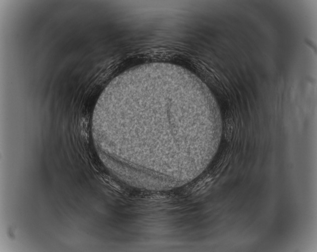 X0000097771010200804041147