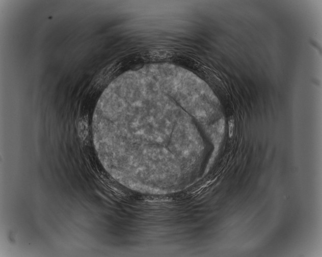 X0000097771011200804041147