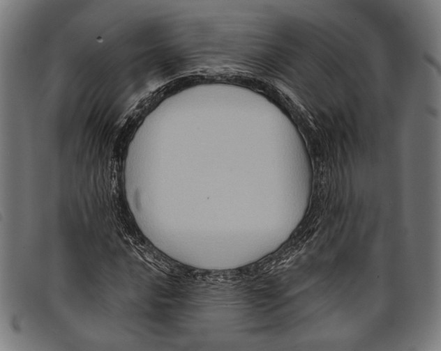 X0000097771016200804041147