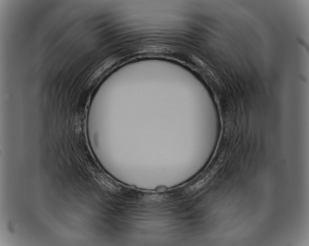 X0000097771017200804041147