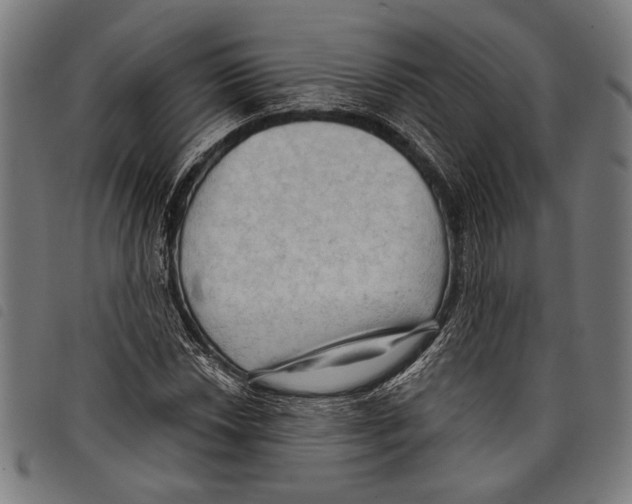X0000097771018200804041147