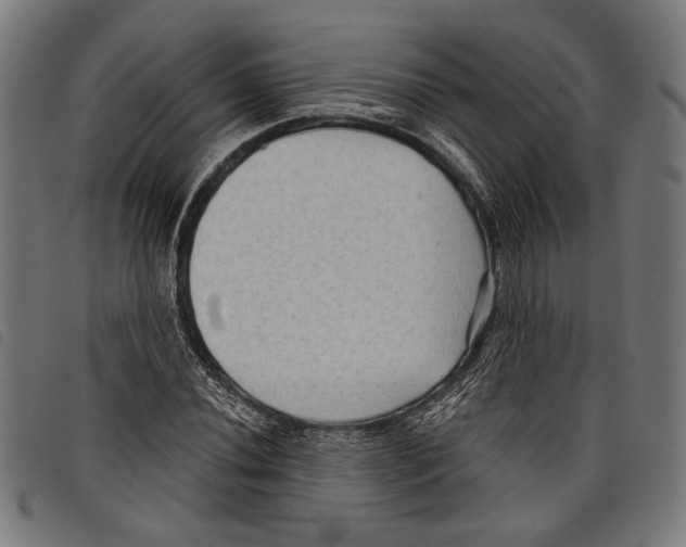 X0000097771020200804041147