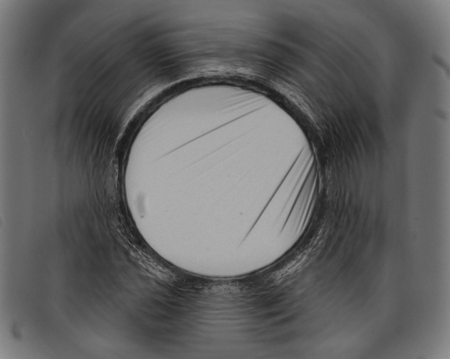 X0000097771021200804041148