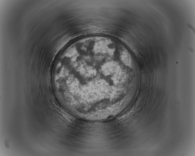 X0000097771023200804041148
