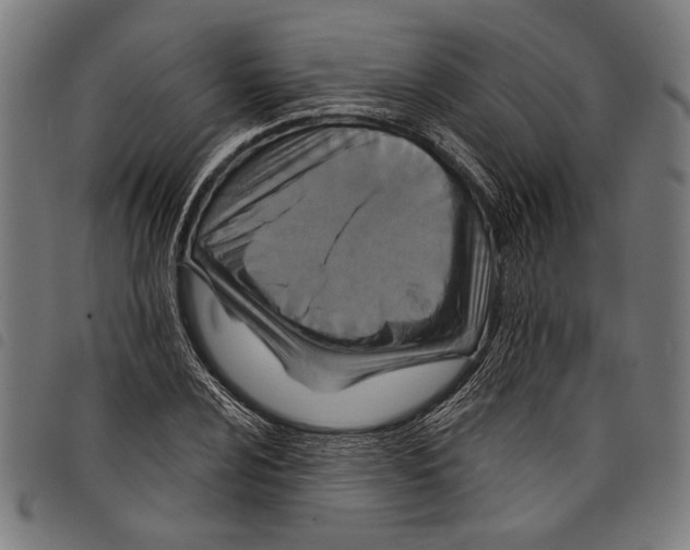 X0000097771024200804041148