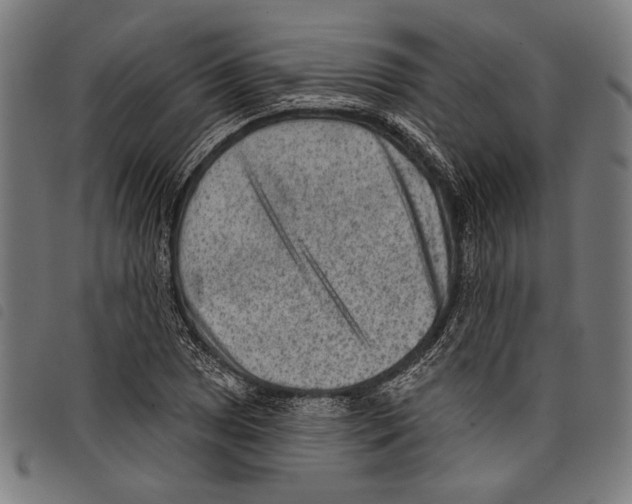 X0000097771025200804041148