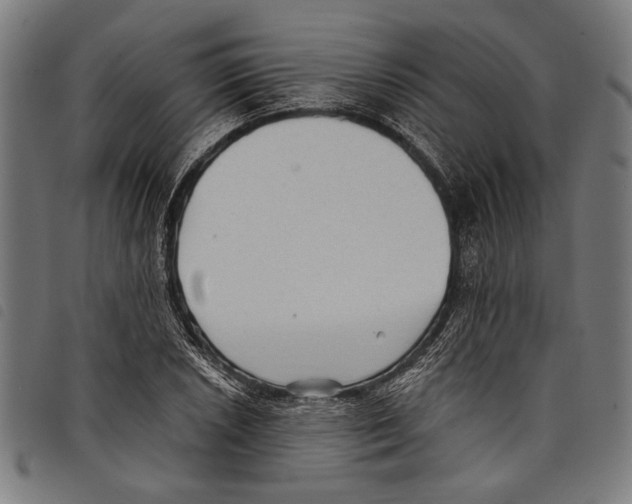 X0000097771026200804041148