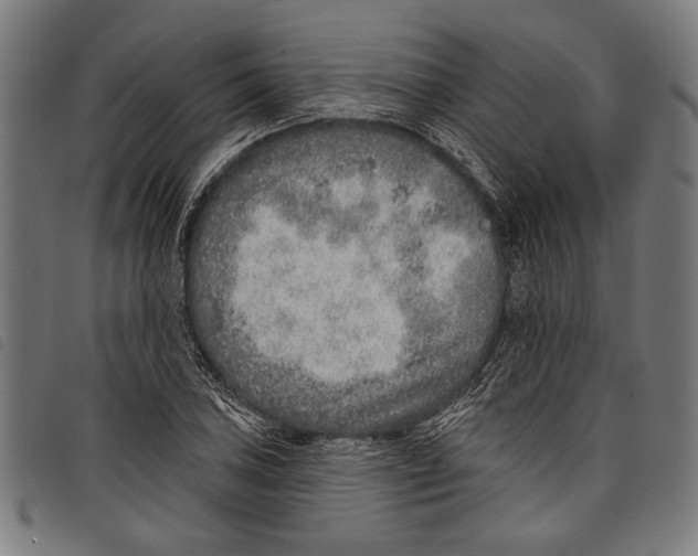 X0000097771027200804041148