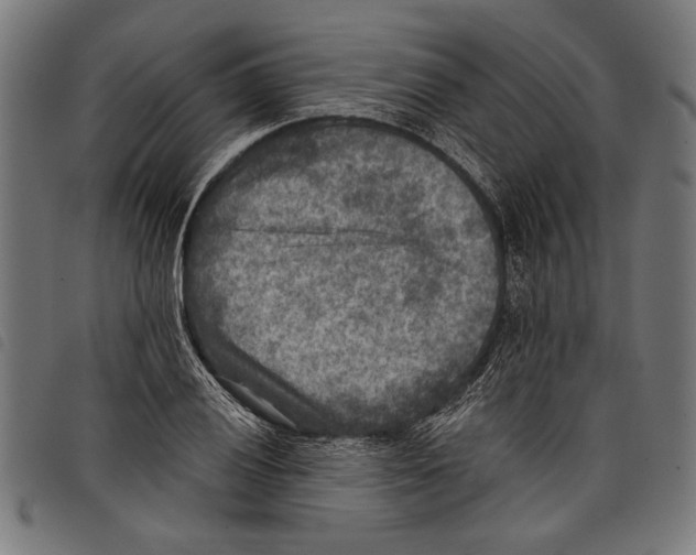 X0000097771028200804041148