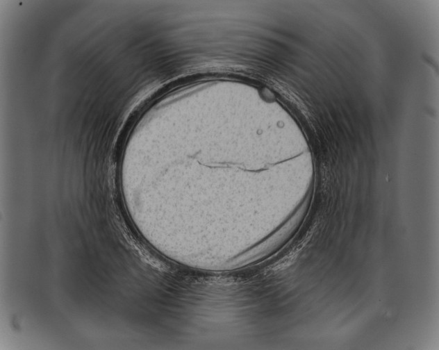 X0000097771029200804041148