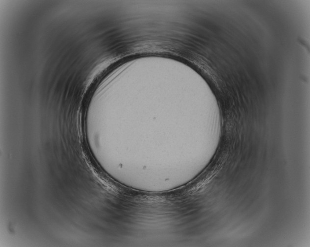 X0000097771030200804041148